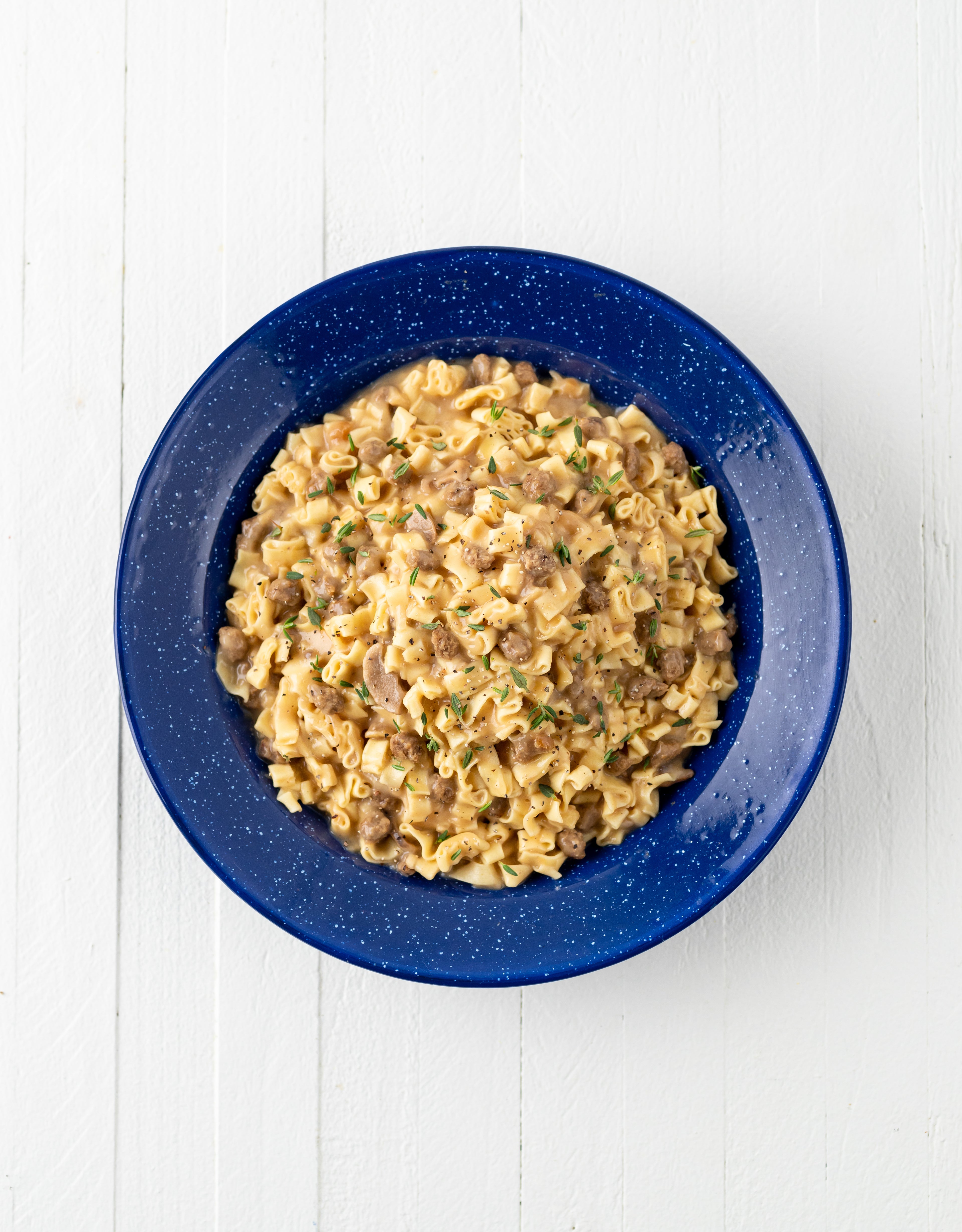 Mountain House Beef Stroganoff w/ Noodles