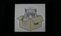 Shiroko Box Sticker - Blue Archive
